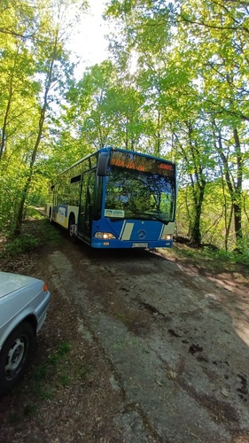 Рекреаційна реабілітація - Фото 4